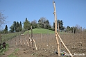 VBS_7414 - PressTour educational dedicato ai vini del Pinerolese e all’olio prodotto sulla collina di Pinerolo